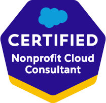 Nonprofit Cloud Consultant