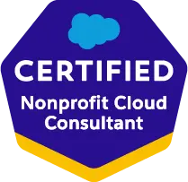 Nonprofit Cloud Consultant
