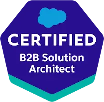 B2B Solution Architect