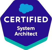 System Architect